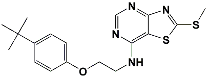 Artikel ST05797, CAS 1000574-61-7 Artikel ST05797, CAS 1000574-61-7